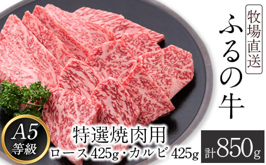 
ふるの牛（黒毛和牛）特選焼肉用 850g (ロース425g、カルビ425g) A5 ミシュラン掲載 《30日以内に順次出荷(土日祝除く)》
