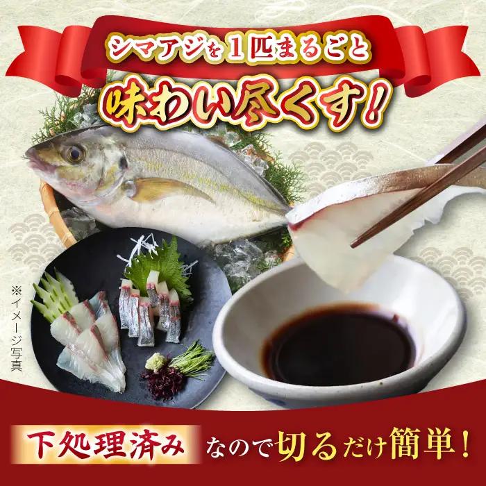 土日お届け シマアジ 堪能5点 [CBW006] アジ