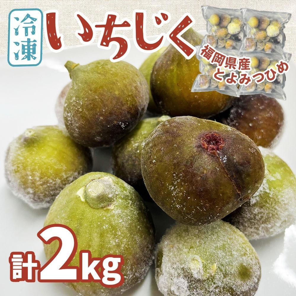 
福岡県産「博多とよみつひめ」冷凍いちじく！合計2kg
