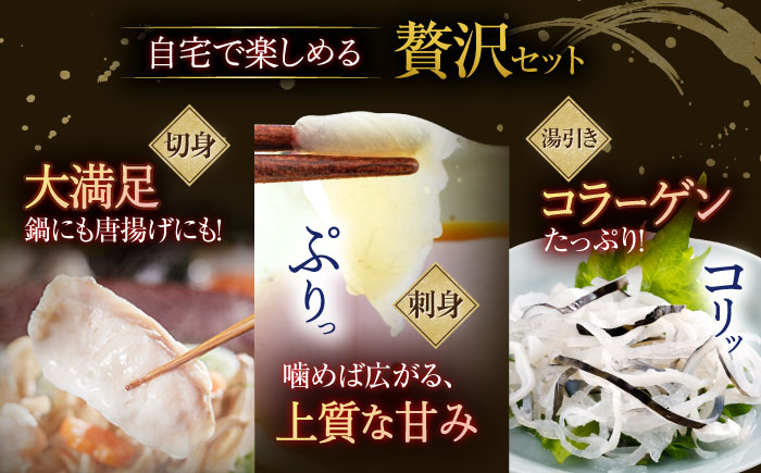 【6回定期便】活〆おうごんとらふぐ贅沢セット4人前【（有）松永水産】[KAB148]/ 長崎 平戸 魚介類 魚 うなぎ 鰻 ウナギ 蒲焼 かばやき 定期便