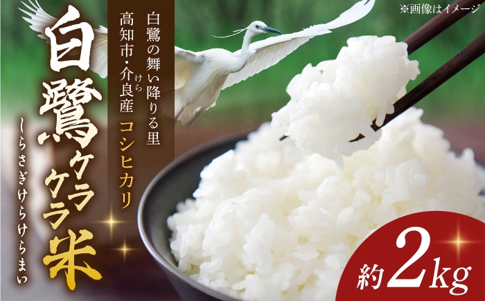 
                  農薬節減！ R8年度産 特別栽培米 白鷺ケラケラ米 コシヒカリ 約2kg 〈2026年9月中旬〜発送〉 / 高知 高知市 白米 米 お米 精米 おにぎり 2キロ 2きろ 【津ノ宮農園】[ATBV018]
                