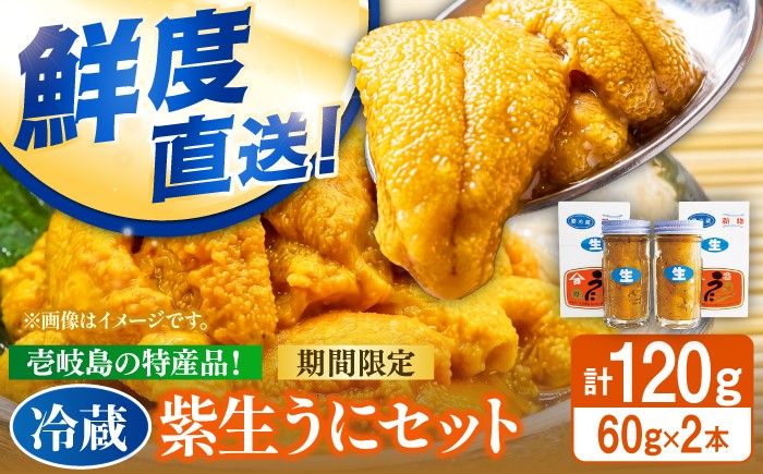 【先行予約】ミョウバン不使用！壱岐の生うに 60g×2本（冷蔵）【2027年4月中旬以降順次発送】《壱岐市》【吉田商店】生ウニ 雲丹 紫うに ムラサキウニ 旬 [JAK014] ミョウバン不使用