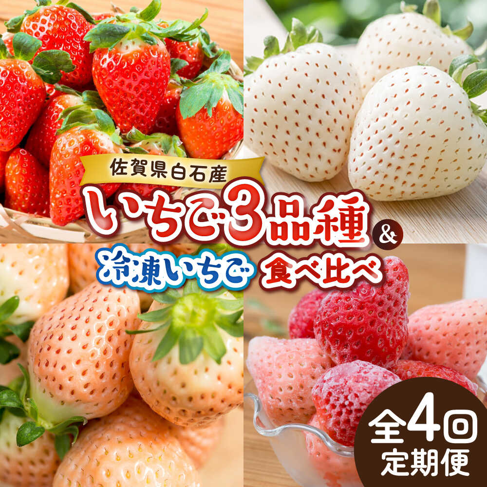 【ふるさと納税】【2026年発送分 先行予約】【全4回定期便】岸川農園 超希少品種入り赤白いちご（淡雪・さがほのか・こころの色・冷凍いちご） / いちご イチゴ 苺 果物 フルーツ / 佐賀県 / 岸川農園[41ASAG008]