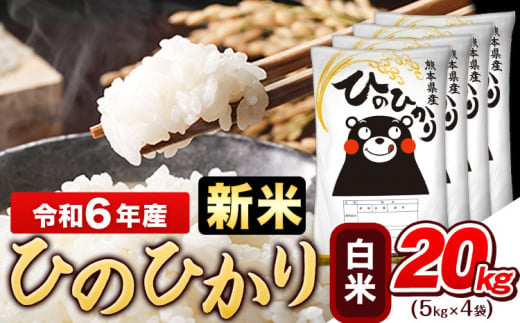 令和6年産新米 早期先行予約受付中 白米 ひのひかり 20kg《11月-12月より出荷予定》令和6年産 熊本県産 ふるさと納税 白米 精米 ひの 米 こめ ふるさとのうぜい ヒノヒカリ コメ お米 おこめ