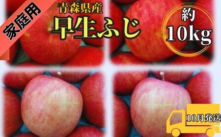 早生ふじ約10kg 家庭用青森県産（10月発送） 果物 りんご 青森りんご 旬のフルーツ 産地直送 
