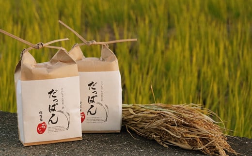 新米入荷！早生米 だっぱん米 高知県産 にこまる 精米4kg（2kg×2袋） 坂本龍馬 脱藩の道沿いで育ったお米 水稲早生(わせ)