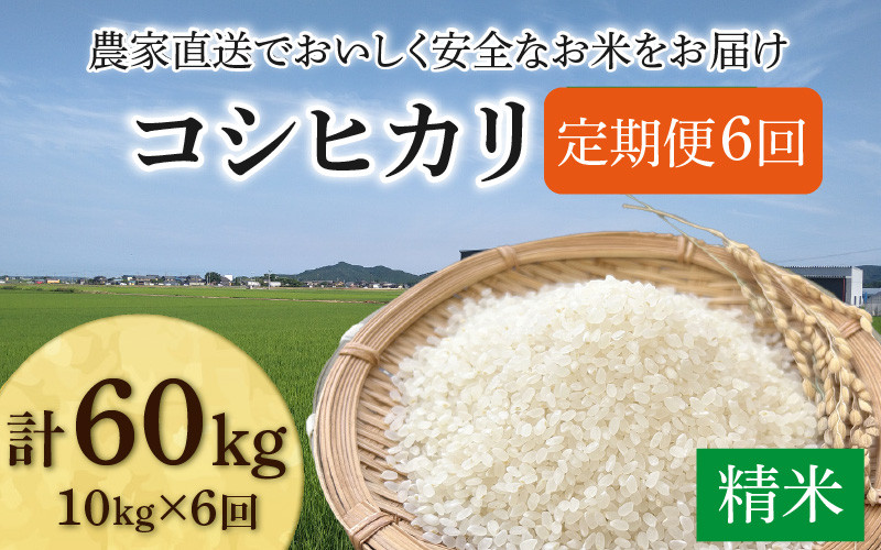 
                  【先行予約】【令和8年産 新米】《定期便6回》コシヒカリ 精米 10kg（5kg×2袋) JGAP認証米 / 米 10キロ 一等米 福井県産 ブランド米 ご飯 白米 お米 コメ 新鮮 小分け 定期便 6回 ※2026年10月上旬より順次発送 [aw094-k002]
                