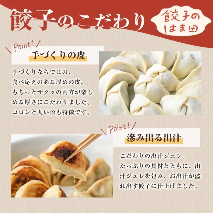 ＼テレビで紹介されました！／ニラ餃子(12個入×4袋・計48個) 餃子 生餃子 ギョウザ ぎょうざ ギョーザ セット 詰め合わせ おかず お惣菜 冷凍 和風 水餃子 にら ニラ 手作り【餃子のはま田】