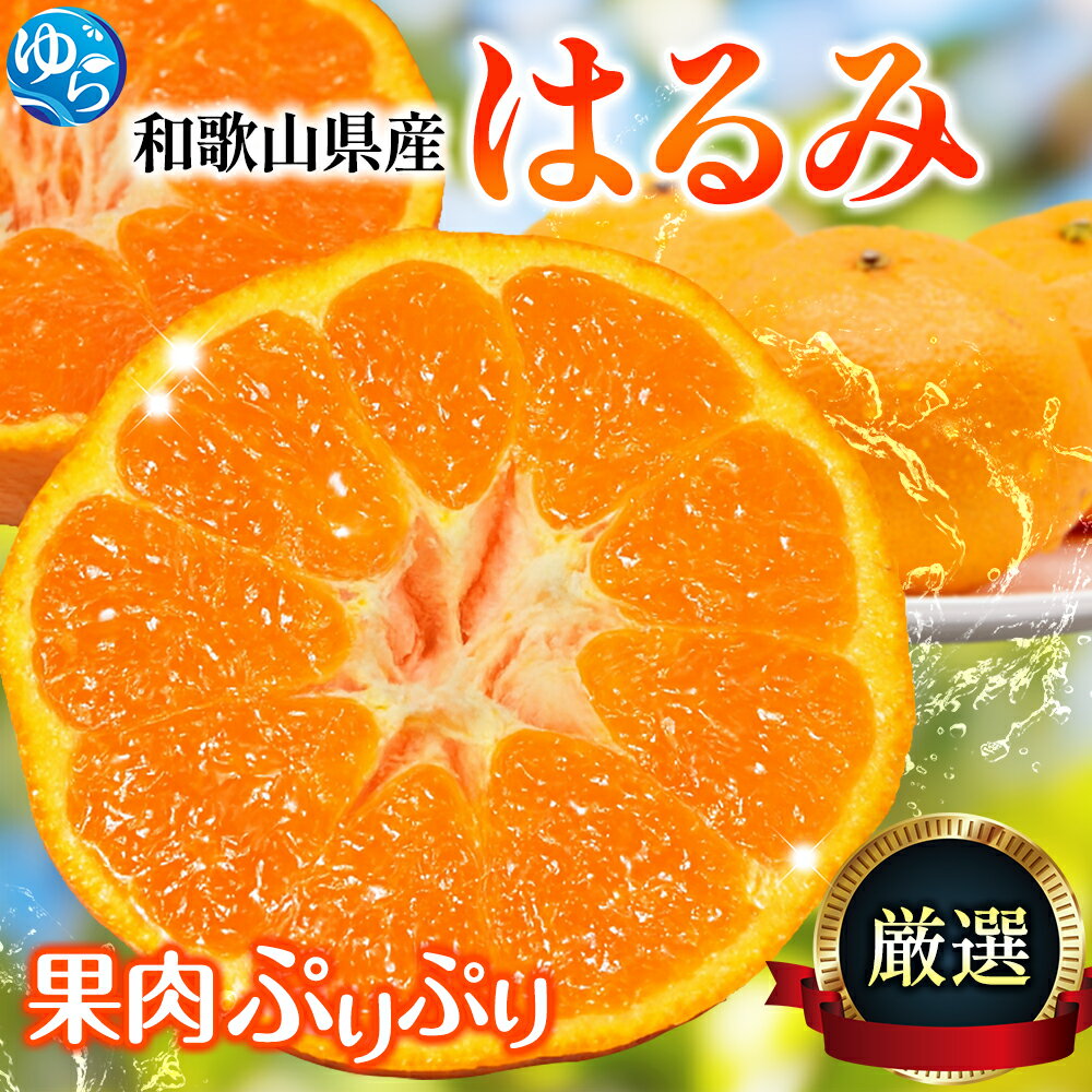 【ふるさと納税】 はるみ みかん 厳選 / 柑橘 晩柑 和歌山 甘い 5000円 / 1kg 2.5kg 5kg 7.5kg 10kg ※2026年2月上旬〜3月下旬ごろに順次発送予定 ※北海道・沖縄・離島への配送不可