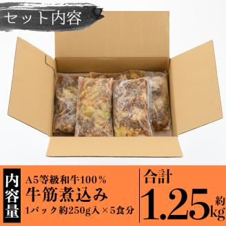 a822 《訳あり》国産A5等級和牛100％牛すじ煮込み合計1.25kg(250g×5食分)【やまさき】