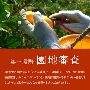 有田市認定みかん「未来への虹」至宝(5kg)【日本初自治体認定フルーツ】(B1-2)
