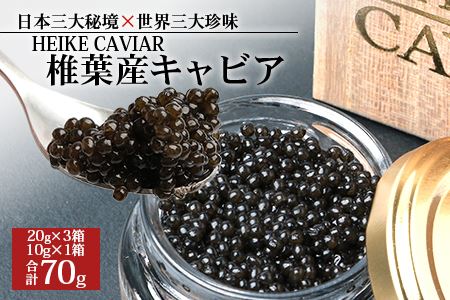 【桐箱入り】HEIKE CAVIAR 70ｇ 【宮崎県 椎葉村】 チョウザメ キャビア【世界三大珍味×日本三大秘境】