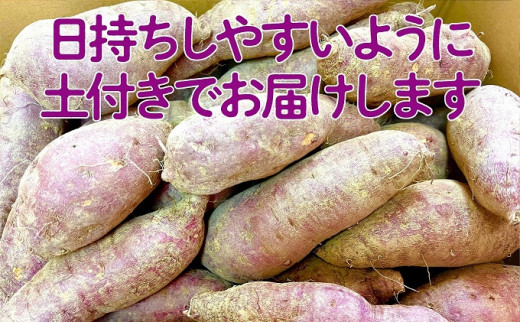 
[№5668-0532]小豆島のさつまいも【紅あずま約5kg】
