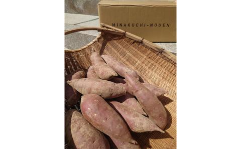 さつまいも  5kg