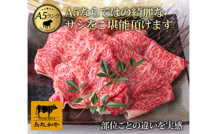 E24-030 最上等級A5ランク
鳥取和牛すきやきしゃぶしゃぶ食べ比べセット1kg（4～5人前）