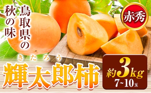 輝太郎柿 3kg 7〜10玉 秀品 先行予約《10月上旬-10月下旬頃出荷》JA鳥取いなば 鳥取県 八頭町 柿 かき カキ くだもの くだもの 果物 青果物 フルーツ