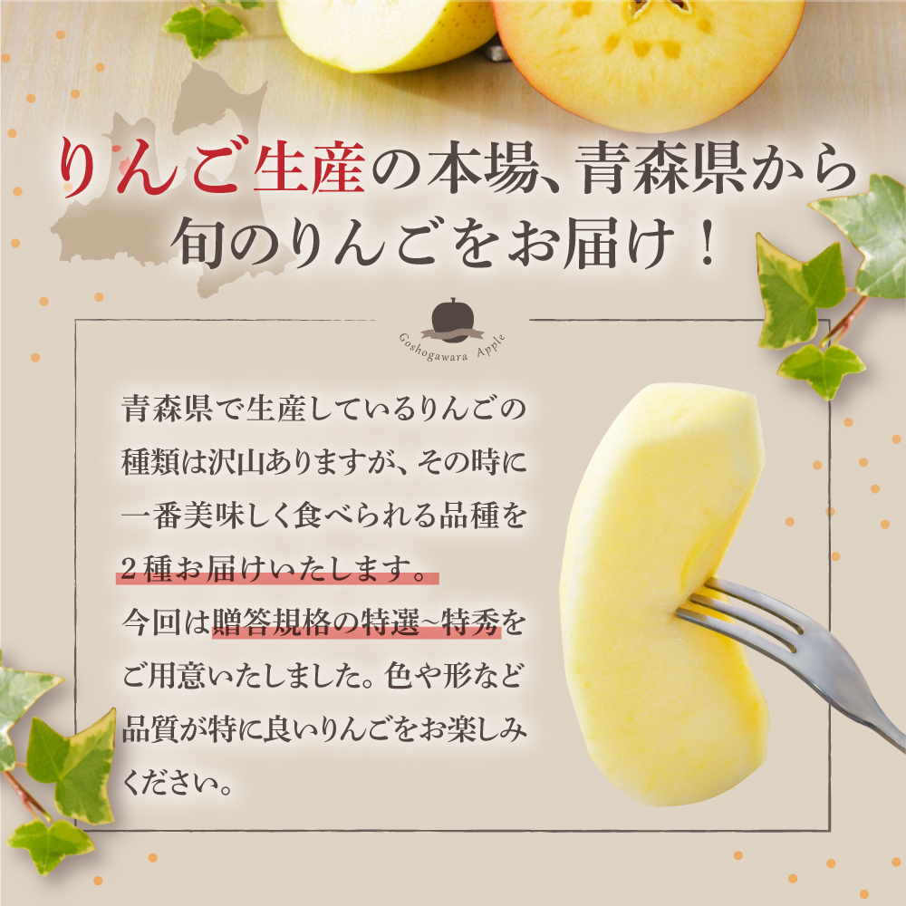 【2026年11月前半発送】【贈答用】 りんご 約5kg 品種おまかせ2種以上 《特選～特秀》 青森県産