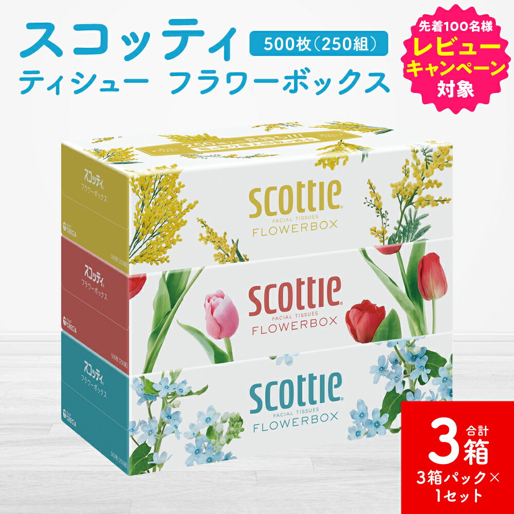 【ふるさと納税】＼レビューキャンペーン開催中／【スコッティ】ティシュー フラワーボックス 250組（3箱パック×1セット 合計3箱）ティッシュ 日用品 生活必需品 送料無料