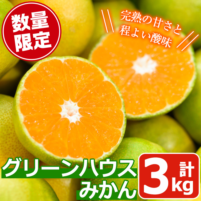 No.148 期間限定！鹿児島県産 グリーンハウスみかん(計3kg) ミ