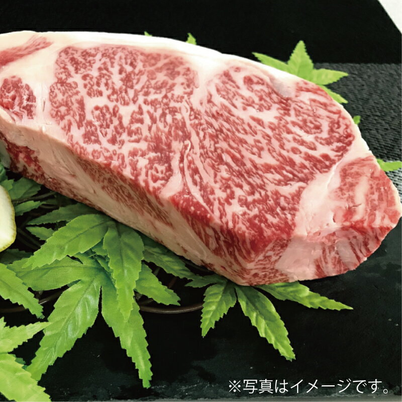 【ふるさと納税】【佐賀牛】ロースブロック（タタキ・ローストビーフ・焼肉等）500g