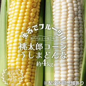 まるでフルーツ！生で甘い、茹でて美味い！牛窓産 とうもろこし「桃太郎コーン」と「うしまどんな」のセット 約4kg 8～12本入り 2023年先行予約