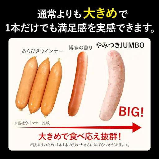 訳ありソーセージ やみつきJUMBOポークフランク 合計3kg 500g×6袋 ソーセージ