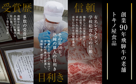 【ふるなび限定】飛騨牛サーロイン ステーキ 400g (200g×2枚)  ステーキ FN-Limited-PR