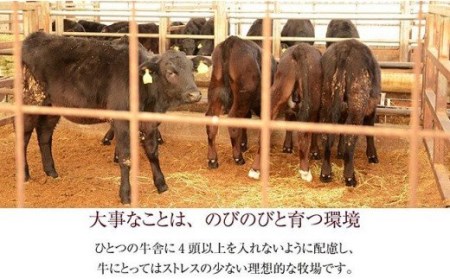 76-56A【訳あり】新潟県産牛（長岡産）ランプステーキ2枚（計300g）