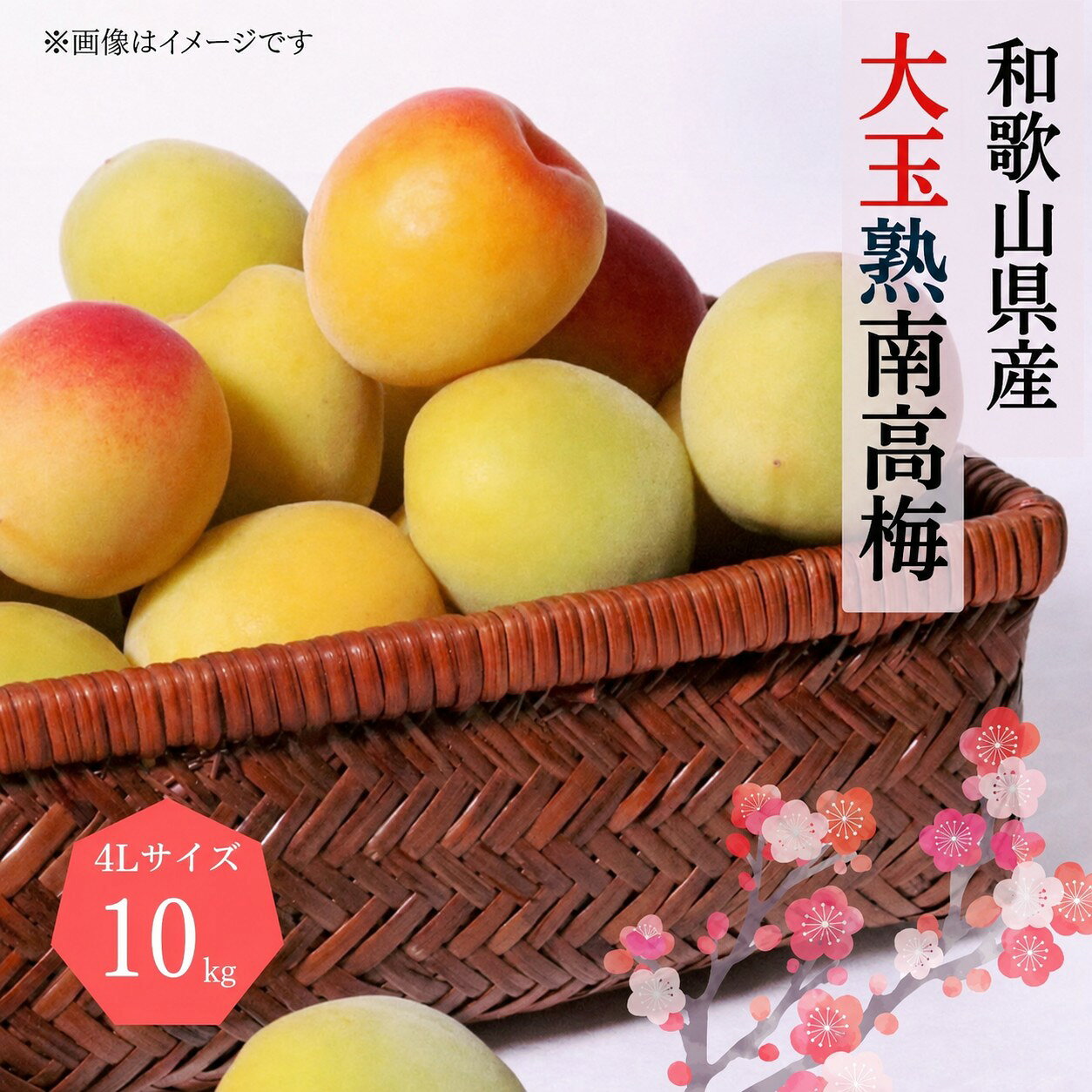 【ふるさと納税】 【梅干・梅酒用】大玉4Lサイズ2Kg熟南高梅 秀優混合＜2027年6月上旬〜7月上旬ごろに順次発送予定＞
