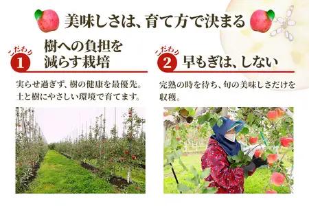完熟！りんご 葉とらずサンふじ 10kg [1088] | 青森 つがる