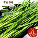 【ふるさと納税】6ヶ月定期便 香南市産 ニラ 合計約6kg（1kg×6回） - にら 韮 生 野菜 やさい 香味野菜 葉物 新鮮 シャキシャキ食感 肉厚 にくあつ 料理 アレンジ 炒めもの 炒め物 煮物 鍋 なべ もつ鍋 産地直送 国産 おきゃんぴー農園 高知県 香南市【冷蔵】Won-0016