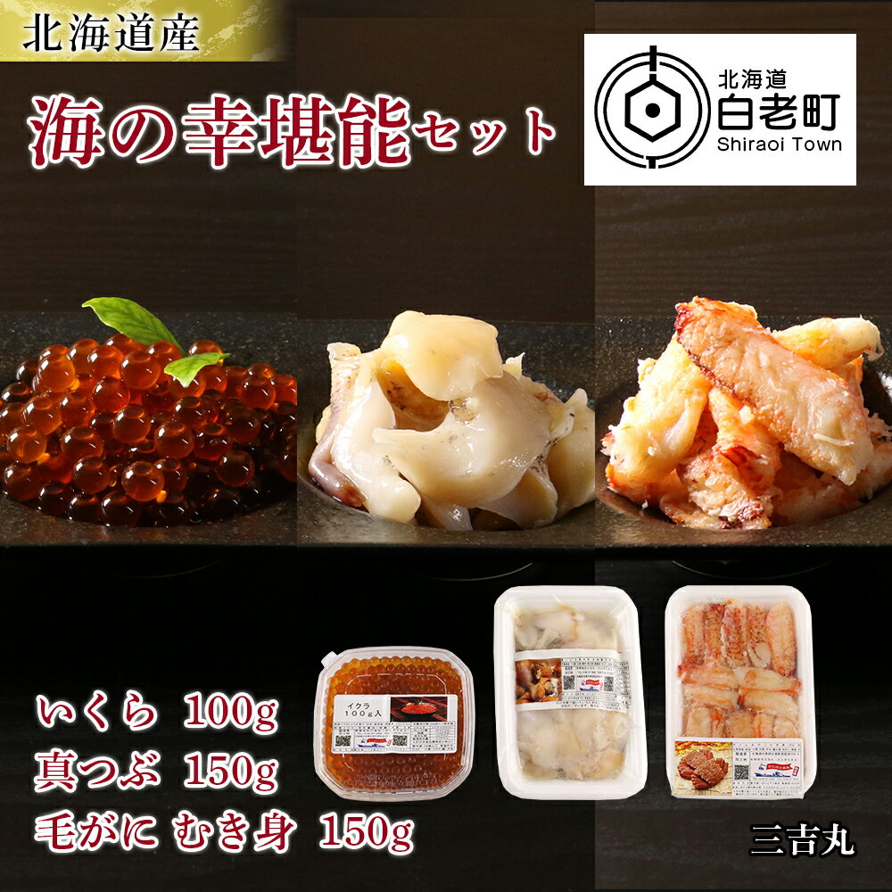 【ふるさと納税】 北海道産 海の幸堪能セット 〜 訳ありイクラ 100g・マツブ150g ・毛ガニむき身150g 〜いくら イクラ しょうゆ漬け 醤油漬け マツブ 毛ガニ 訳あり 北海道ふるさと納税 白老 ふるさと納税 北海道 AS160