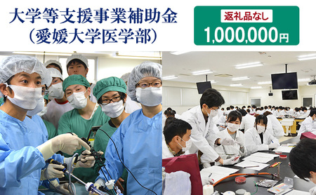 【お礼の品なし】大学等支援事業補助金（愛媛大学医学部）　1,000,000円