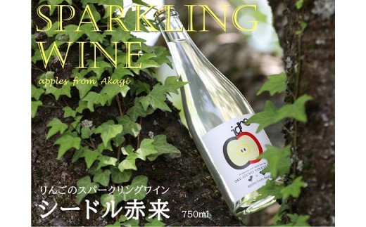 りんごのスパークリングワイン  シードル赤来  750ml【 お酒 リンゴ スパークリングワイン ワイン すっきり 辛口 島根県 飯南町 E-1】