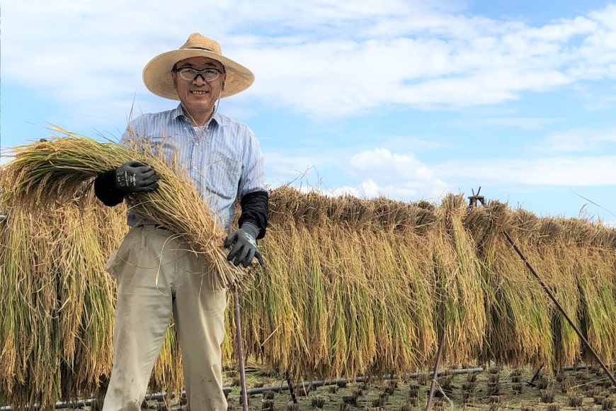 6回 定期便 米 令和5年産 玄米 農林48号 5kg×6回 計30kg [穂足農園合同 山梨県 韮崎市 20742391] お米 コメ ご飯 ごはん 山梨県産