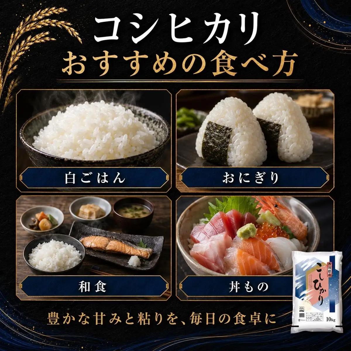 コシヒカリ 米 精米 白米 香川県産 コシヒカリ【10kg】