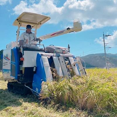 ふるさと納税 七尾市 【令和6年産】能登産コシヒカリ　能登夢米15kg(玄米5kg×3袋) |  | 02