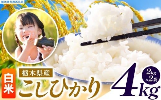 いちご農家さん応援米！ 訳あり 令和7年度産 白米 約4kg こしひかり | 真岡市産 米 お米 こめ 白米 ご飯 ごはん もちもち コシヒカリ 限定 ふるさと納税  栃木県 真岡市 送料無料