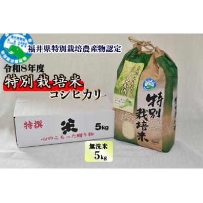 ふるさと納税 勝山市 先行予約【令和8年産】 特別栽培米 コシヒカリ 5kg×1 (無洗米)