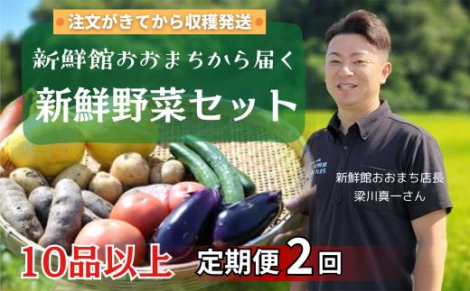 【定期便2回】注文が来てから収穫発送！収穫したばかりの新鮮野菜セット 《10品以上保証》 季節のお野菜 おまかせ お楽しみ 獲れたて産地直送 旬 春野菜 ベジタブル ヘルシー 健康 詰め合わせ 一関市