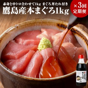 【全3回定期便】鷹島産本まぐろ 赤身と中トロ合わせて1kg　まぐろ丼たれ付き【K32-001】 本マグロ 本まぐろ 本鮪 鮪 マグロ 鷹島産 海鮮 まぐろ 漬け丼 魚介類 中トロ 赤身 松浦 海鮮丼 丼 本格的 定期便