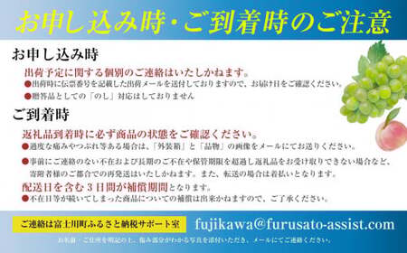 【2025年発送分 先行予約】 シャインマスカット 2～3房（約1.2kg） 8月中旬以降発送予定 フルーツ 山梨 シャイン マスカット くだもの 大粒 人気 厳選 ブドウ ぶどう 葡萄  富士川町 