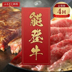 肉【定期便全4回】【和牛セレブ】能登牛 定期便「エコノミークラス」全4回 特選 しゃぶしゃぶ すき焼き 焼肉 ステーキ ギフト 石川県 能美市