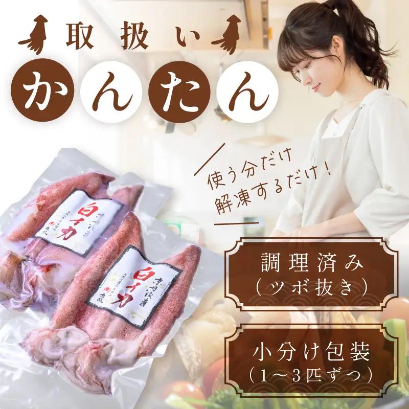 白イカケンサキ正味2kg しろいか