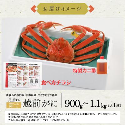 ふるさと納税 福井市 【1〜3月に発送】福井の蟹料理店 訳あり茹で越前がにズワイガニ大1杯(900〜1.1kg、姿で発送) |  | 03