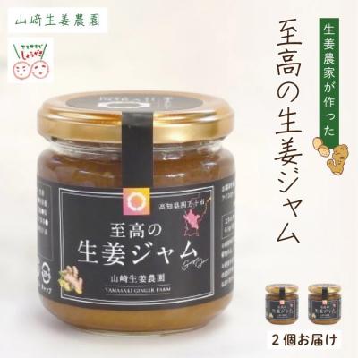 ふるさと納税 四万十市 【山崎生姜農園】生姜農家が作った至高の生姜ジャム 26