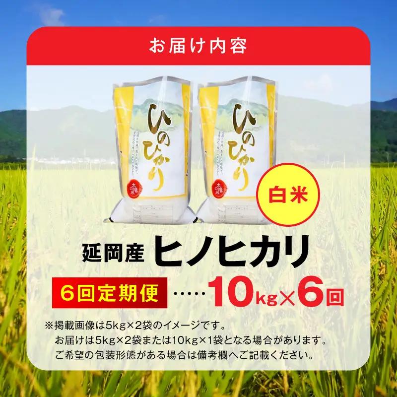 延岡産ヒノヒカリ（白米）10kg 6ヶ月定期便 N0218-YH069