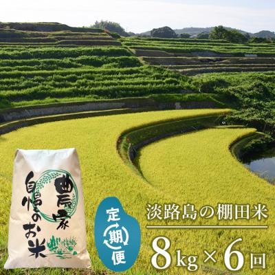 ふるさと納税 淡路市 【定期便】淡路島の棚田米 8kg×6回(毎月発送)　ae01087