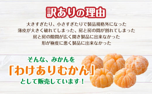 T4 【訳あり】 むかん 1kg (1kg×1) みかん 冷凍 福岡県 みやま市_イメージ2