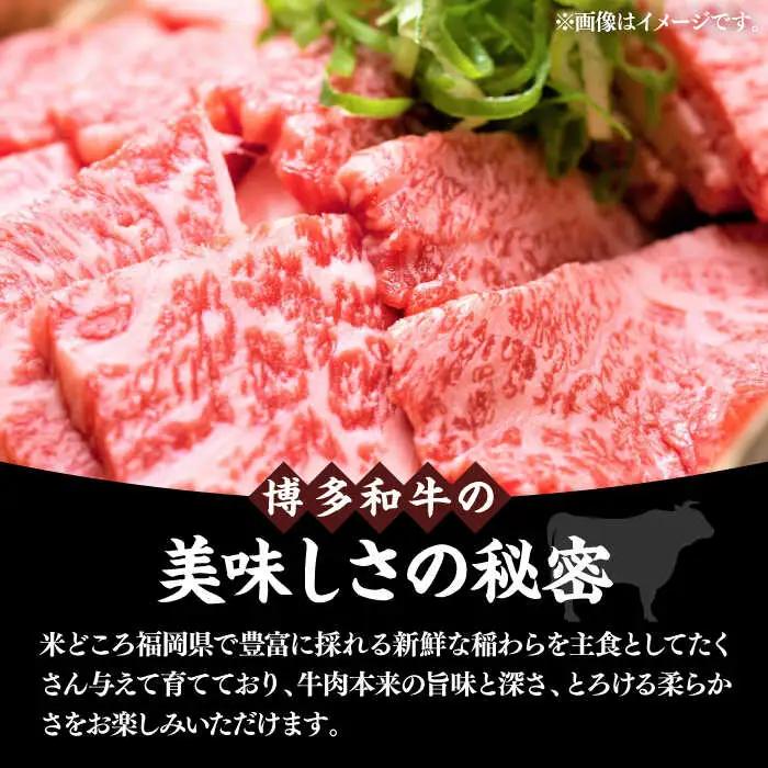 【訳あり】博多和牛 焼肉 切り落とし 500g VBB044 焼肉 牛肉